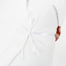 Borboleta pra Cachorro 